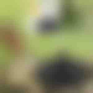 Oživite svoj vrt uz čarobnu solarnu fontanu | FONTANA