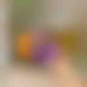 Organizator za frižider sa automatskim klizanjem | DRINZER